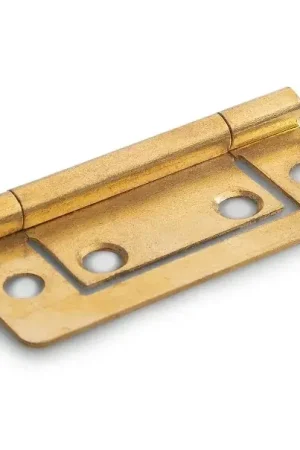 Veilige Betaling DX Louvredeurscharnier 50x24mm vermessingd