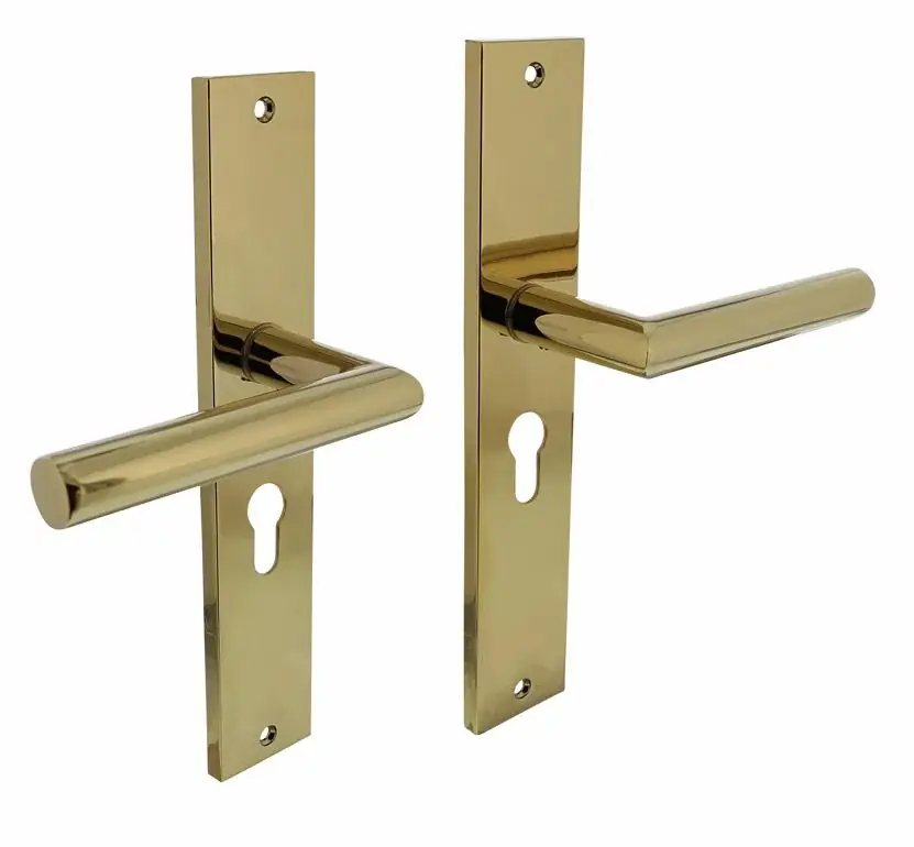 Goedkoop Intersteel deurklink Bastian op langschild PC55 PVD messingkleur