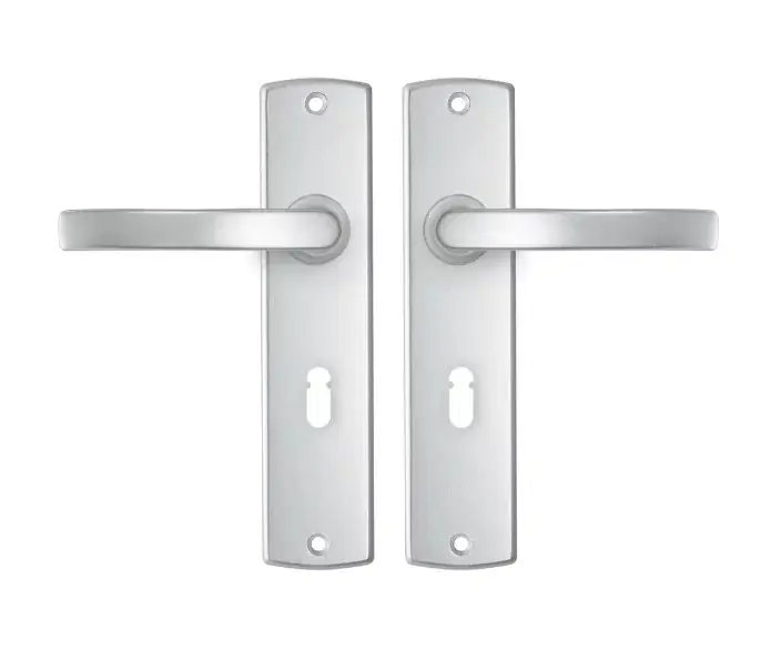 Beperkt Aanbod AXA curve schild SL56 met deurklink blok aluminium F1