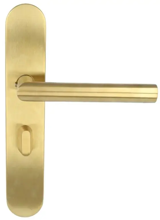 Gecertificeerd Deurklink op schild rechts toiletsluiting 63/8 mm BASICS LBII-19P13WC PVD mat goud