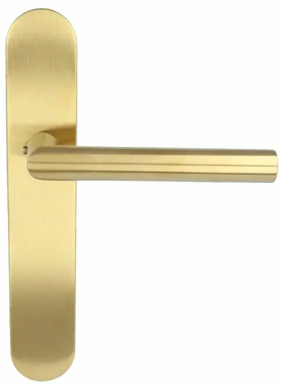 Deurklink op blind schild BASICS LBII-19P13SFC PVD mat goud Lage Kosten