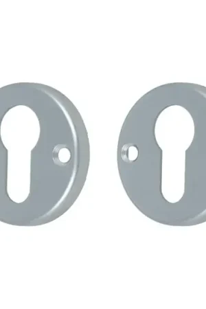 Aanbieding 2 PC-plaatjes Ami rond aluminium F1