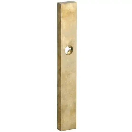 Favoriet SKG3 rechthoekig smal schild blind buiten messing antiek