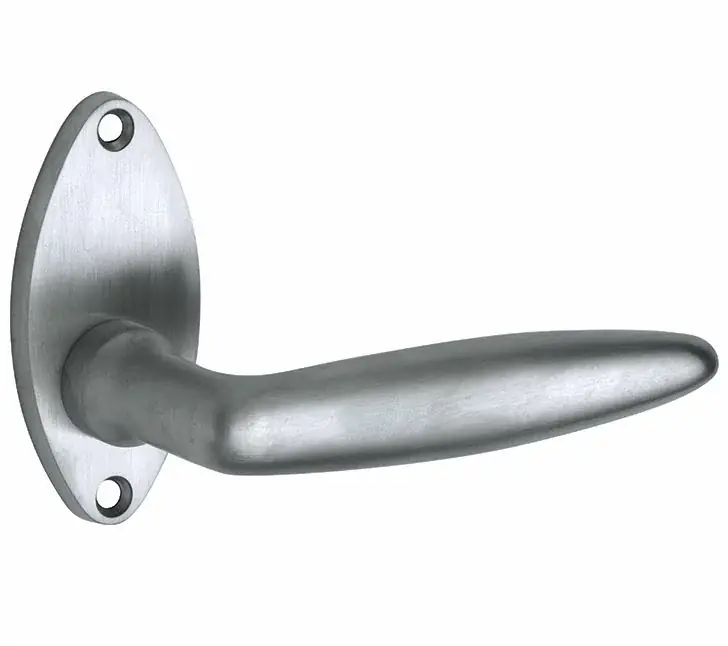Veilige Betaling Deurklink op rozet Dudok/elips mat chroom
