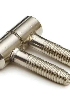 Rechtstreeks Van De Fabrikant DX Meubel inboorpaumelle 13 x 35 mm staal verzinkt