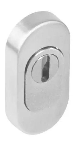 Intersteel Veiligheid-Schuifrozet + kerntrekbeveiliging ovaal rvs Uitverkoop