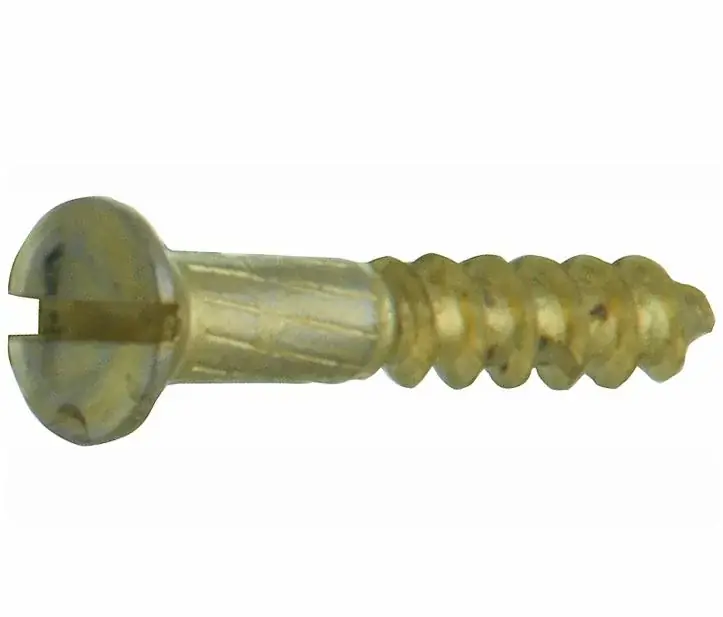 Houtschroef (4 stuks) 3,0×16 mm messing ongelakt Goedkoop