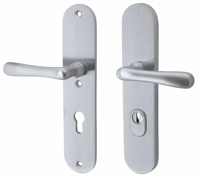 Populair SKG3 PC55 kruk/kruk op ovaal schild Linea links + kerntrekbeveiliging mat chroom