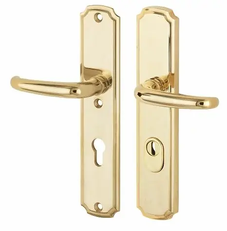 SKG3 PC55 kruk/kruk op schild Halfsabel/Art-Nouveau links + kerntrekbeveiliging messing gelakt/messing PVD Koopje