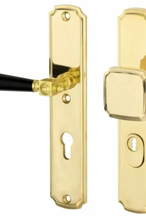 Alleen Vandaag SKG3 PC55 knop/kruk op schild Roman/Nouveau links + kerntrekbeveiliging messing gelakt/messing PVD