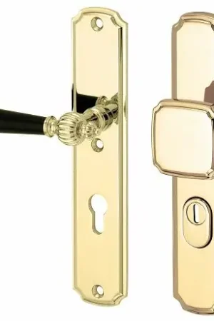Actieprijs SKG3 PC72 knop/kruk op schild Nouveau ebben links + kerntrekbeveiliging messing gelakt/messing PVD