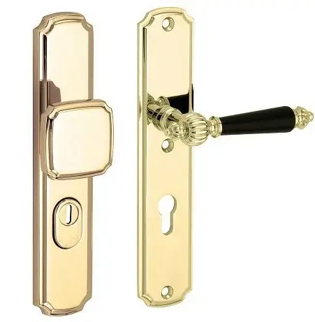 Koop Vandaag SKG3 PC55 knop/kruk op schild Nouveau ebben rechts + kerntrekbeveiliging messing gelakt/messing PVD