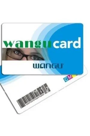 Beste Prijs Full colour bedrukking proximitykaart
