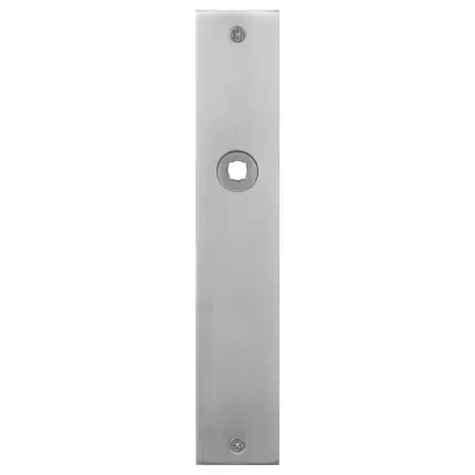 Express Levering Plaatschild blind rechthoekig RVS geborsteld 220x40x2mm