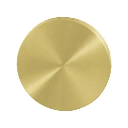 Alleen Vandaag GPF0900VRP4 blinde rozet 53x6mm PVD mat messing