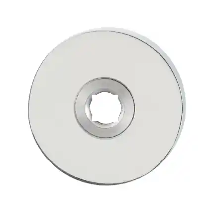 Gereduceerde Prijs Rozet 50x8mm RVS gepolijst links-/rechtsdraaiend