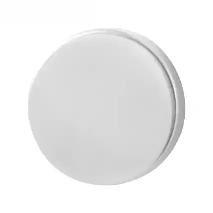 Blinde rozet 50x8mm RVS gepolijst Nu Kopen
