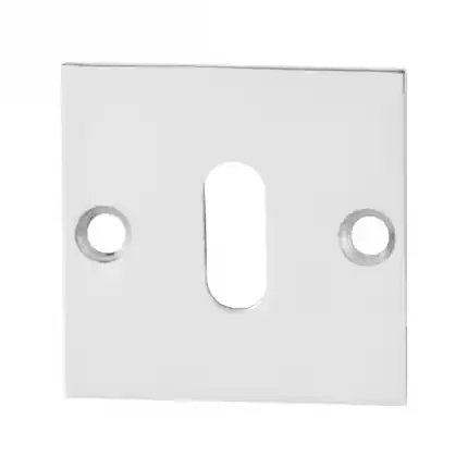 Gereduceerde Prijs Sleutelrozet 50x50x2mm RVS gepolijst