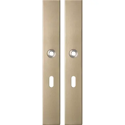 Bestel Nu GPF1175.A4 langschild rechthoekig BB56 Champagne blend