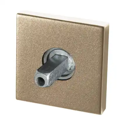 Nieuw rozet 50x8mm Champagne blend met vastgelaste knopvastzetter