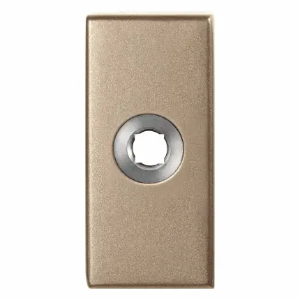L rozet rechth. 70x32x10 mm Champagne blend links draaiend Hete Deal