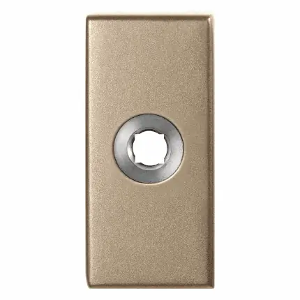 Direct Beschikbaar GPF1101.A4 rozet rechthoekig 70x32x10 mm Champagne blend