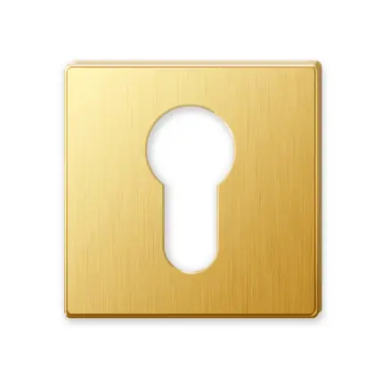 1351/BY cilinderrozet 51x10mm goud 24k Aanbieding