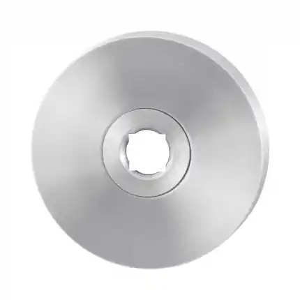 Beste Prijs Rozet 50x8mm RVS geborsteld
