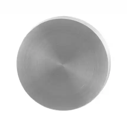 Blinde rozet 50x8mm RVS geborsteld Voordeelprijs