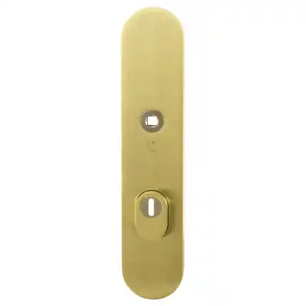 Veiligh. B.S. met KT PC55 248x52x11 mm afgr. PVD mat messing Populair