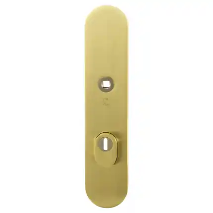 Veiligh. B.S. met KT PC72 248x52x11 mm afgr. PVD mat messing Must-Have