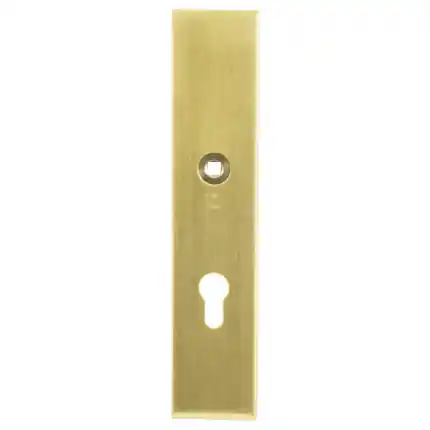 Merkproduct veiligheidsbinnenschild rechth. PC55 248x52x8 mm Messing PVD