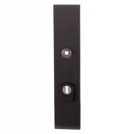 Veiligh. B.S. met KT PC55 248x52x11 mm rechth. PVD antraciet Aanbieding
