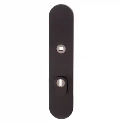 Alleen Vandaag Veiligh. B.S. met KT PC55 248x52x11 mm afgr. PVD antraciet