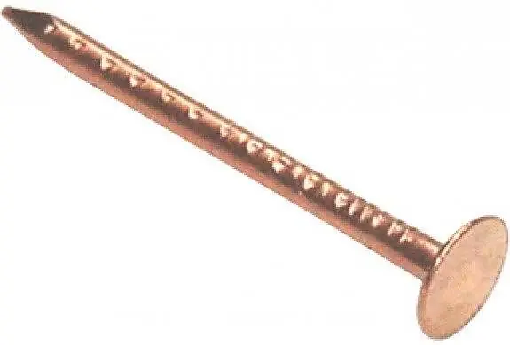 Populair Messing nagels tbv bronzen tochtstrip 30M