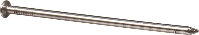 DRAADNAGEL PK BLANK 100X4.0MM Laatste Versie