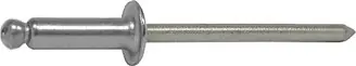 Shop Nu BLINDKLINKNAGEL ALU/RVS 4.8X12MM