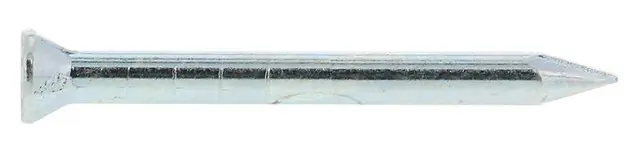 NAGELS SPIT CP 40 (2KG) D.3.3MM Laatste Versie