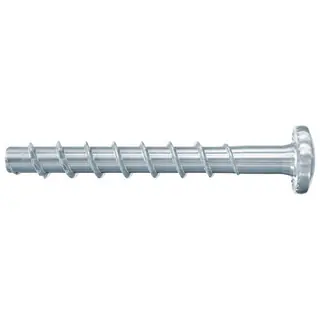 Betonschroef cilinderkop Torx, verzinkt Must-Have