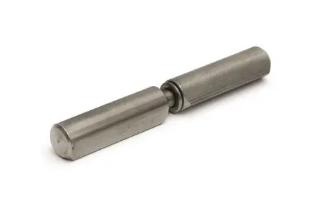 Aanlaspaumelle ronde top vaste stift, rvs Express Levering