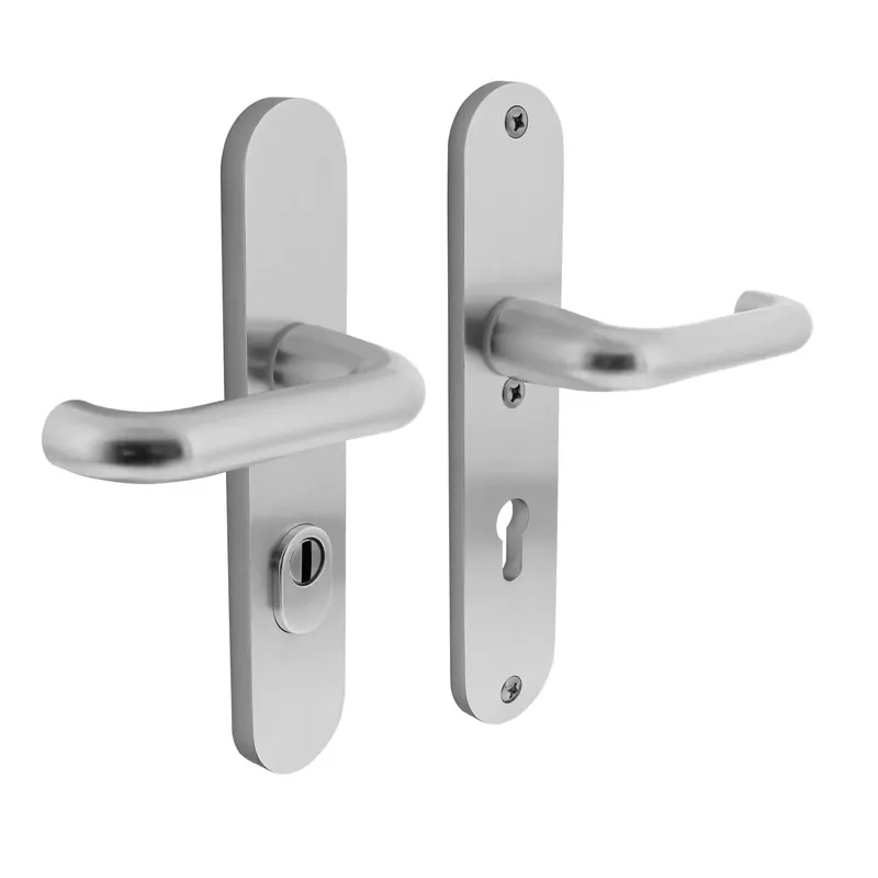 Intersteel Veiligheidsbeslag kruk/kruk met kerntrekbeveiliging SKG3 Aluminium F1 Express Levering