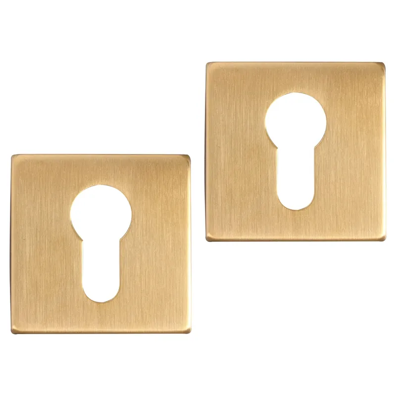 Gecertificeerd Differnz Rozet met Cilindergat Goud Vierkant 52x52mm