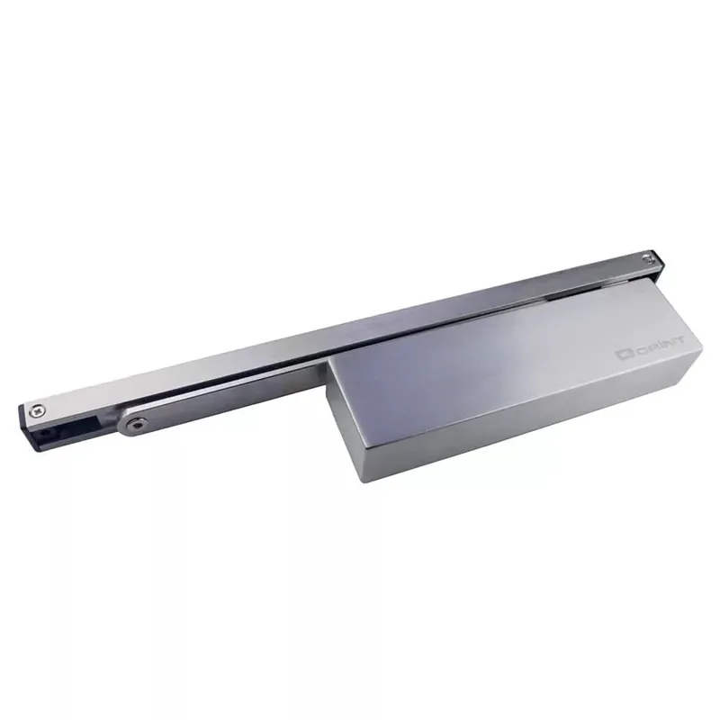 Must-Have HDD Pro Deurdranger Dorint IT920 Inox Plus
