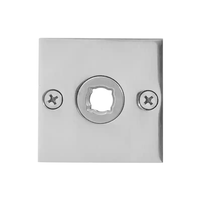 Exclusieve Aanbieding GPF110048200 Rozet vierkant plat 50x50x2mm links/rechts RVS gepolijst