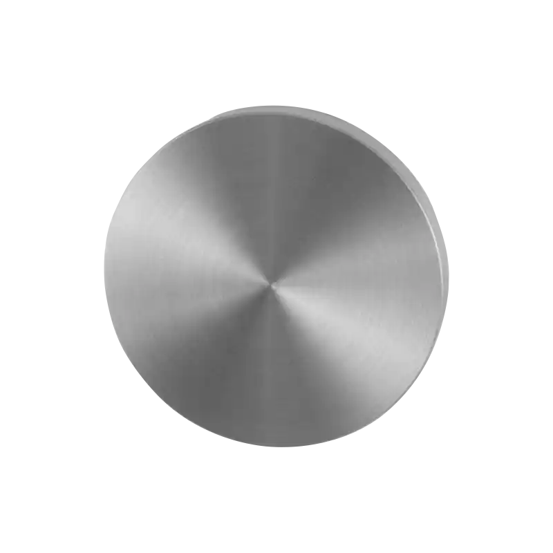 Goedkoop GPF0900VR Blinde rozet rond 53x6mm RVS geborsteld