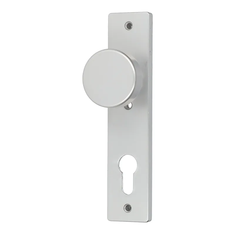Alleen Vandaag NEMEF 3251 FP kortschild rechthoekig met knop en cilindersparing